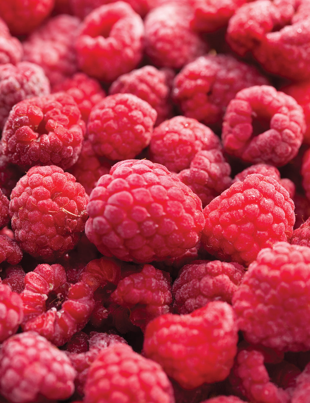 Raspberry