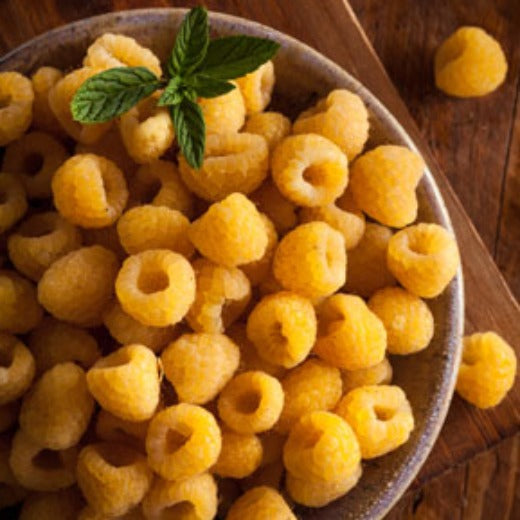 Raspberry Yellow Raspberry 'Phil's Gold' *Available End August* – CleanGROW