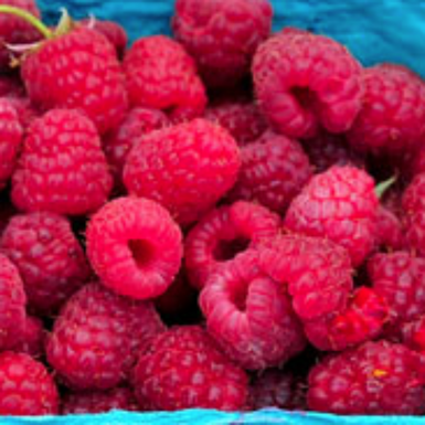 Raspberry Heritage